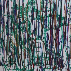 Sofia Ines Musumano Gabbia acrilici su tela 54x40cm noviembre 2019