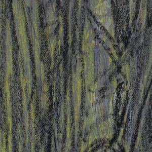 Sofia Inés Musumano Persa Acrilici e pastelli ad olio su tela cm55x15 Aprile 2019